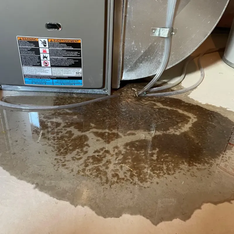 Appliance Leak Cleanup in Hughes, AR